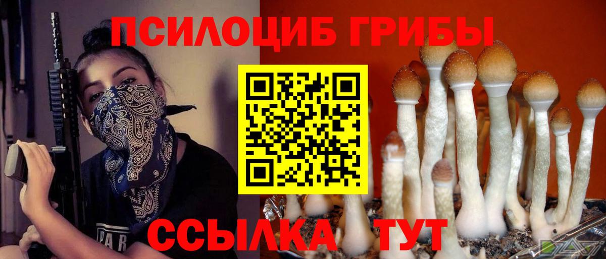 Псилоцибиновые грибы прущие грибы Магадан