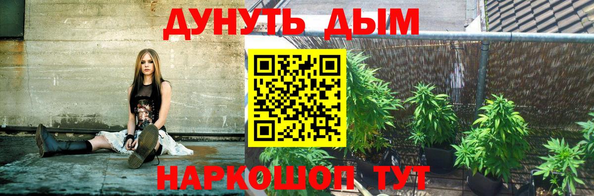 МАРИХУАНА ГИДРОПОН Магадан